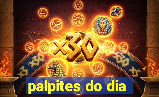 palpites do dia